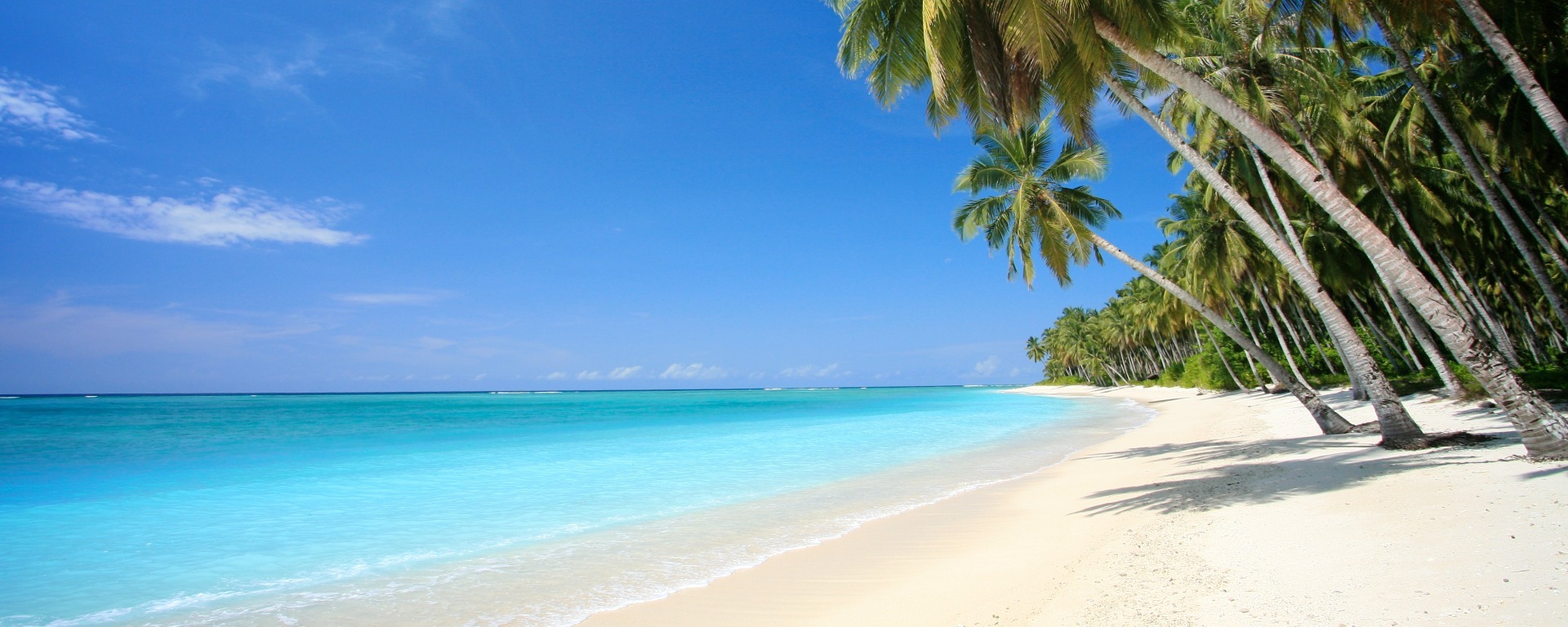 Caribbean calling: our favourite islands and things to do