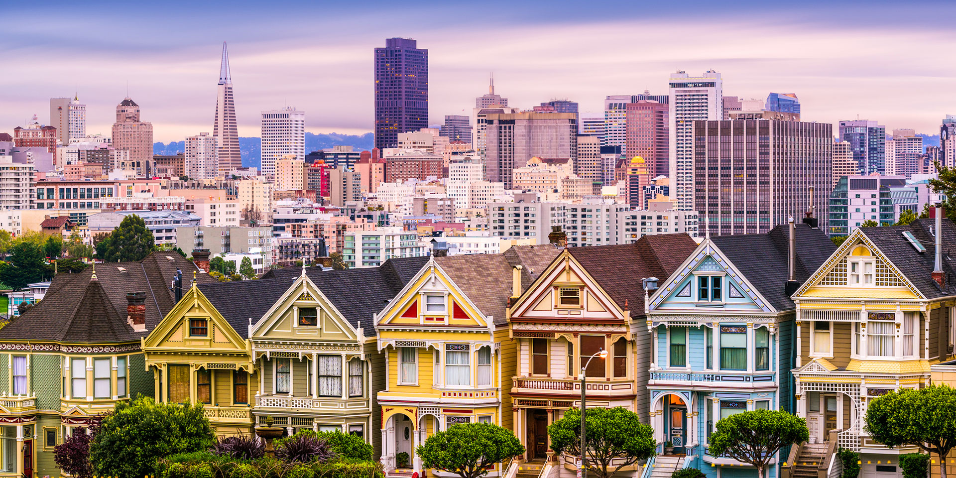 My city: San Francisco