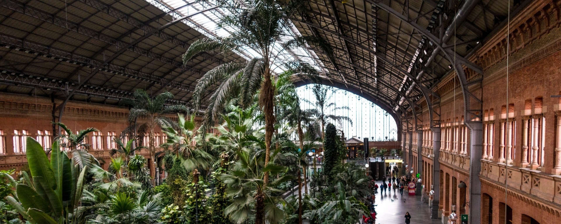 Five Reasons Madrid should be your next European city break