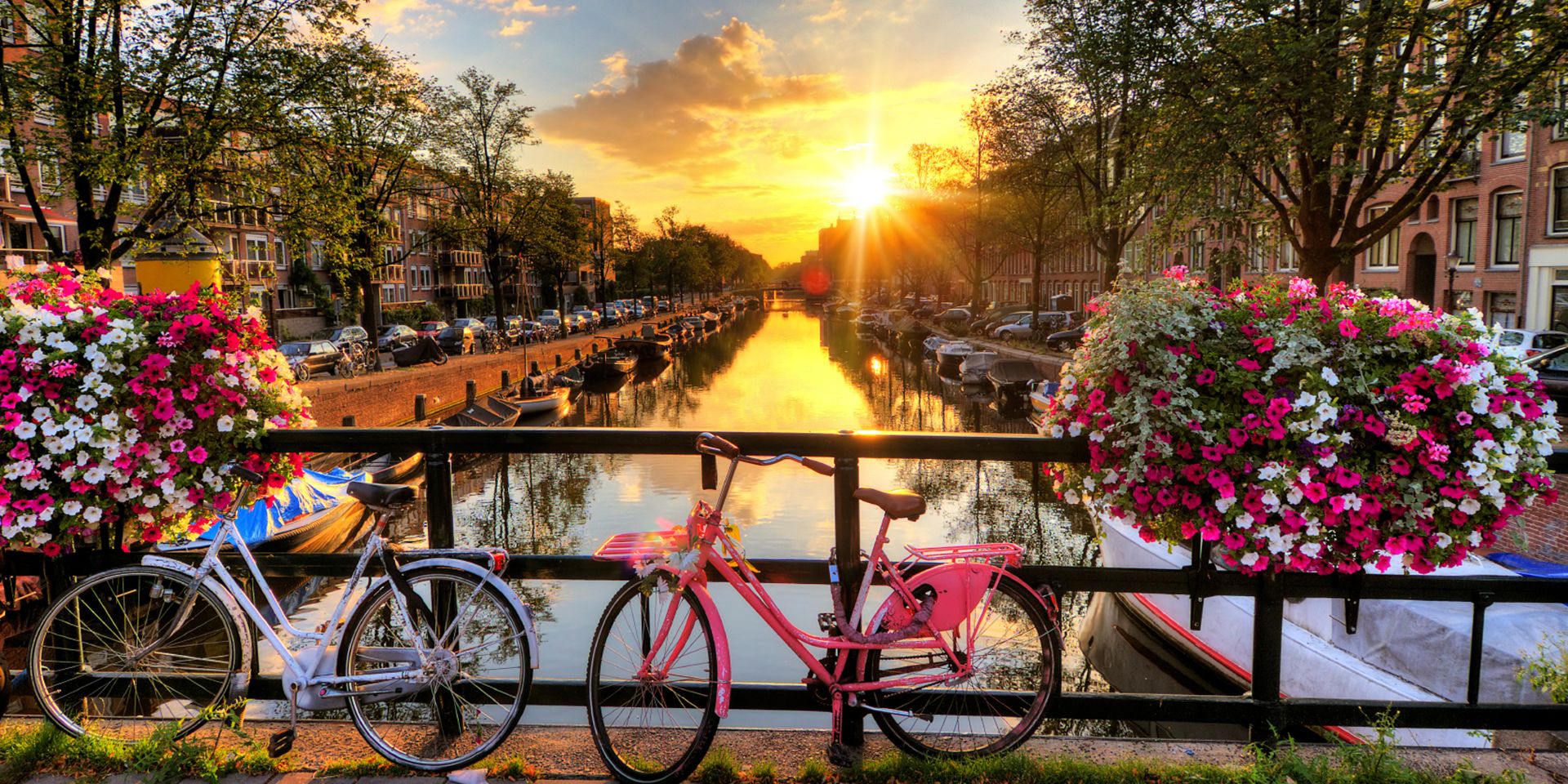 Amsterdam city guide: where to shop, eat, stay and more