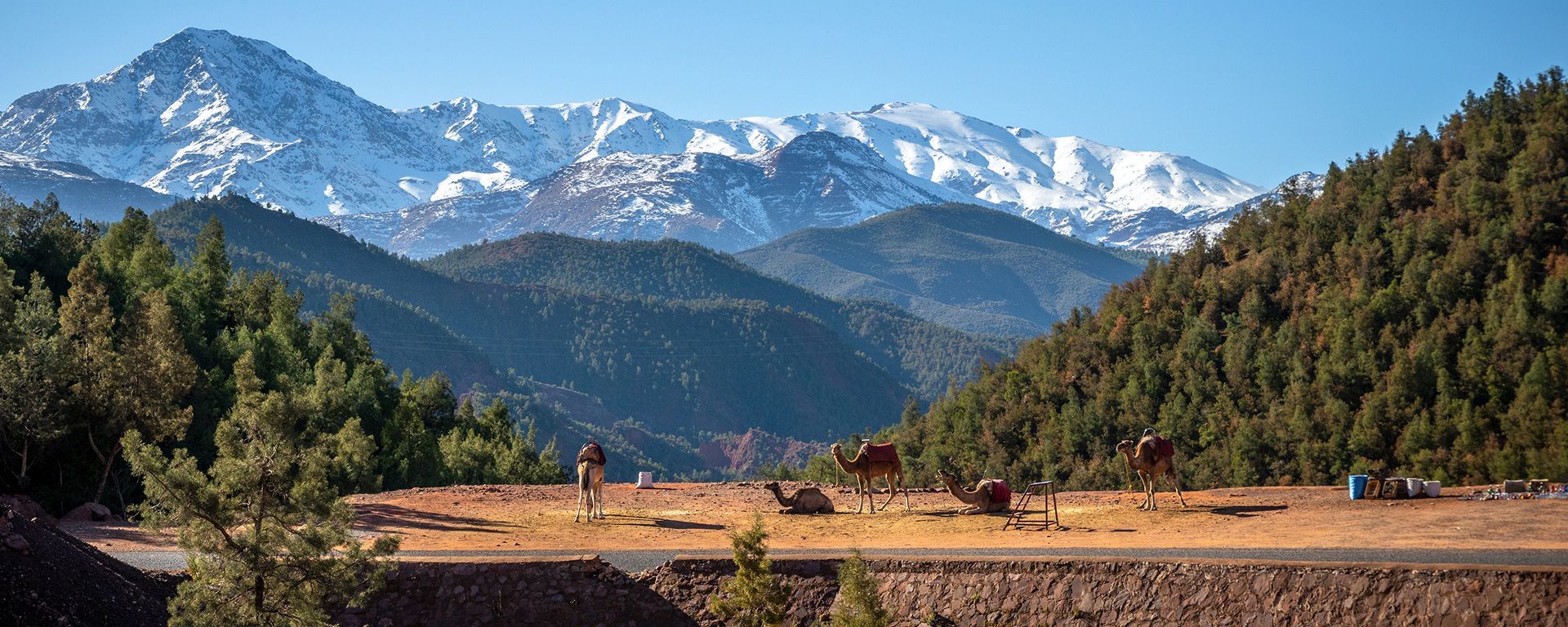 When is the Best Time to Visit Morocco: Monthly Weather Guide